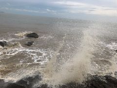 -那琴半岛地质海洋公园