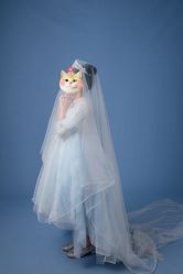 -倾城宝贝儿童摄影(浦东金谊店)