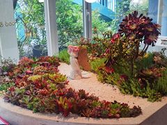 -春树下·树屋花房西餐厅(罍街AS1980店)