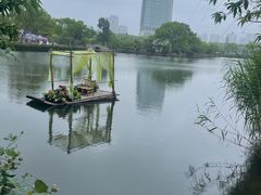 -无锡蠡湖国家湿地公园-蠡园