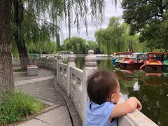 -丰台花园