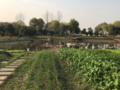 -太阳岛度假酒店