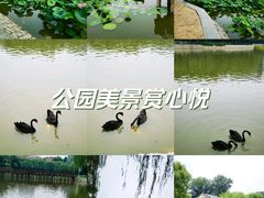 -中国农业博物馆