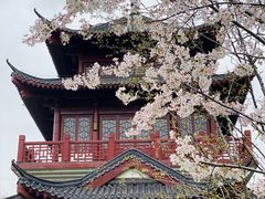 -堤角公园