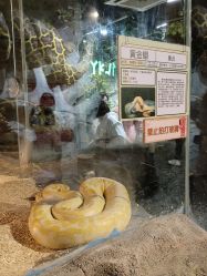 -Zoolung Zoolung动物主题公园(海信广场店)