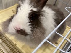 -pd派德宠物中心医院24H急重症·眼科中心·血液透析中心(嵩山北路店)