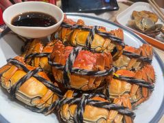 -杨氏青龙虾·羊蝎子(珠江路店)