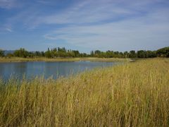 -野鸭湖国家湿地公园