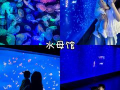 -合肥海洋世界