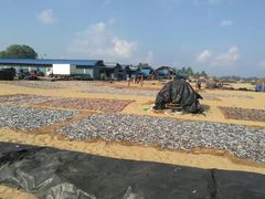 -尼甘布海鲜市场