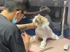 -FAELING PETS美天灵宠物(富力广场店)