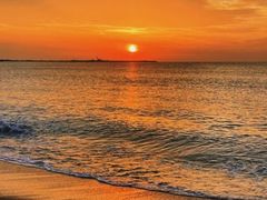 -渡海小渔村.老辈日照菜