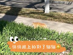 -中国农业博物馆