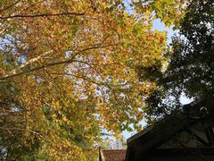 -上海市第三女子中学