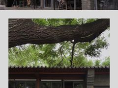门面-zarah(鼓楼店)
