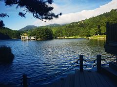 -庐山风景区花径公园