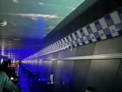 -白鹤梁水下博物馆