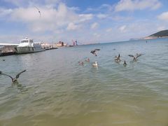 -海驴岛(荣成市)