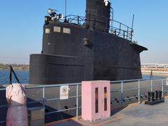 -泰达航母主题公园