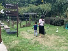 -合肥滨湖国家森林公园