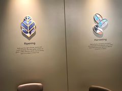 用餐区-星巴克臻选(北京蓝色港湾RO店)