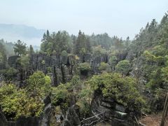 -梭布垭石林景区