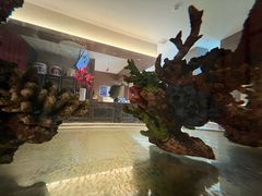 -水之惠鲜鱼料理(王府大街店)