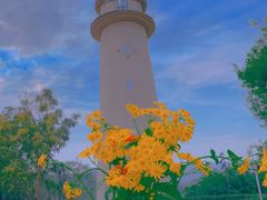 -金海湾滨江公园
