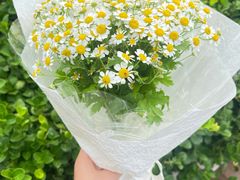 -东营胜利机场