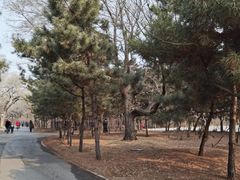 -北陵公园