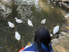 -HERRE·FARM 赫尔露营农场·团建聚会包场