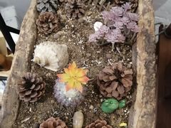 -一杯海(国际海水浴场店)