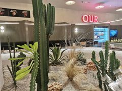 -OUR Bakery(SKP-S店)