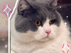 -seeu coffee(江滩店)