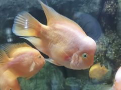 -苏州海洋馆
