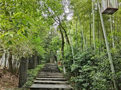 -天目湖山水园