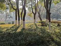 -东水关遗址公园
