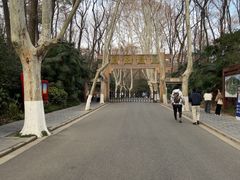 -灵谷景区