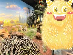 -陕西自然博物馆