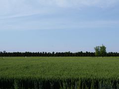 -汉长安城未央宫国家考古遗址公园