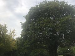 -千岛湖品鱼馆(钓鱼岛店)