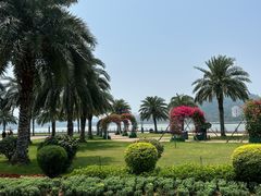 -野狸岛