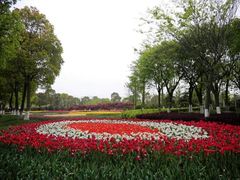 -上海鲜花港