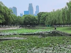 -武昌江滩