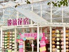 -盈香心动乐园