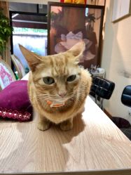 -EasyLady美甲沙龙