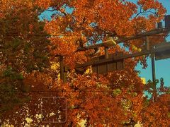 -北山街历史文化街区