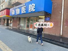 -全心全意连锁动物医院·微创中心·内科急重症·心脏专科(丰管路店)