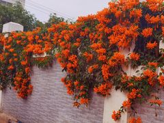 -南宁市衡阳西路第一幼儿园