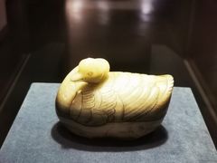 -天津自然博物馆